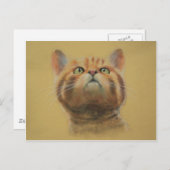 Scottish Wildcat Postkarte (Vorne/Hinten)