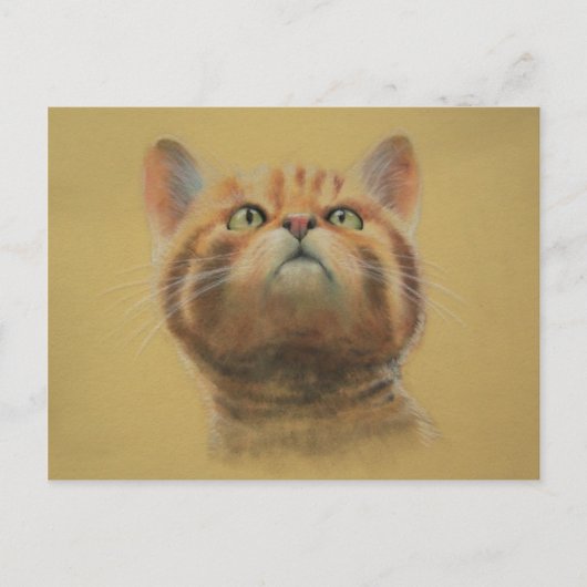 Scottish Wildcat Postkarte (Vorderseite)