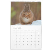 Scottish Wildlife Calendar 2022 Kalender (Jan 2026)