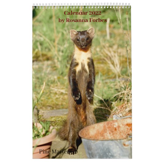 Scottish Wildlife Calendar 2022 Kalender (Titelbild)
