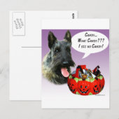 ScottishTerrier Halloween Candy Postkarte (Vorne/Hinten)