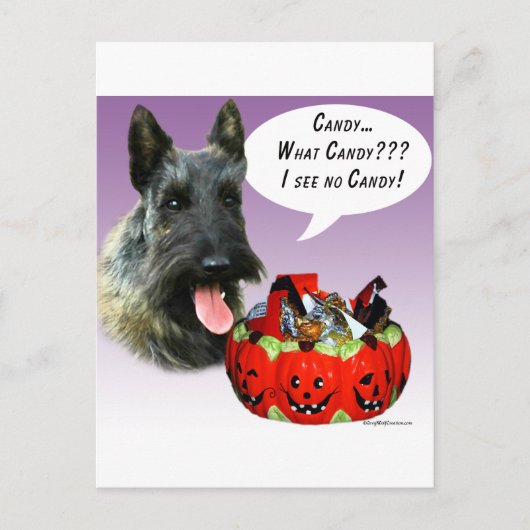 ScottishTerrier Halloween Candy Postkarte (Vorderseite)