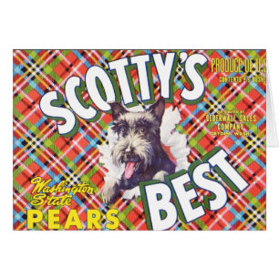 Scotts Beste Birnen - Obstkistenetikett