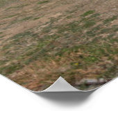 Scott's Bluff in diesem Tag Nebraska Poster (Ecke)