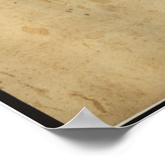 Scott's Great Snake Poster (Ecke)