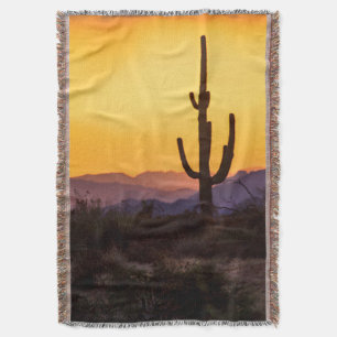 Scottsdale Sonnenuntergang vor dem Sturm Decke