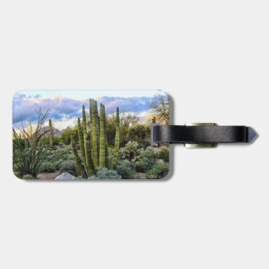 Scottsdale succuled Sunset Gepäckanhänger (Rückseite horizontal)