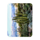 Scottsdale succuled Sunset Magnet (Vertikal)