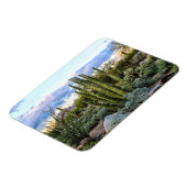 Scottsdale succuled Sunset Magnet (Linke Seite)