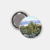 Scottsdale succuled Sunset Magnet (Vorderseite/Rückseite)