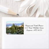 Scottsdale Succulent Sunset (Insitu)