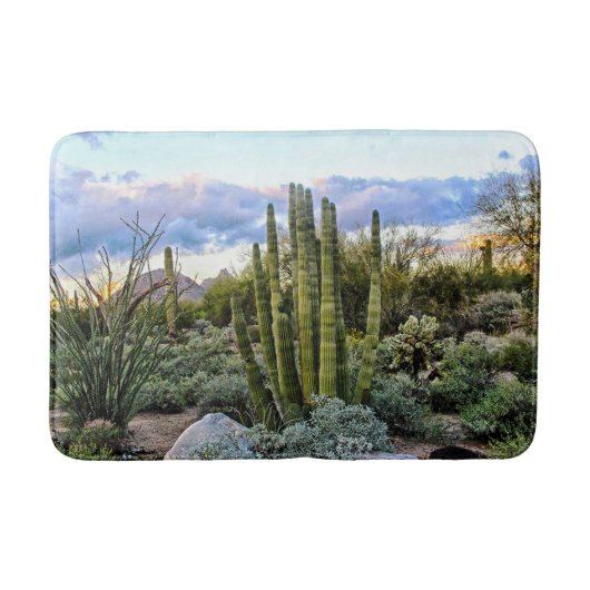 Scottsdale Succulent Sunset Badematte (Vorderseite)