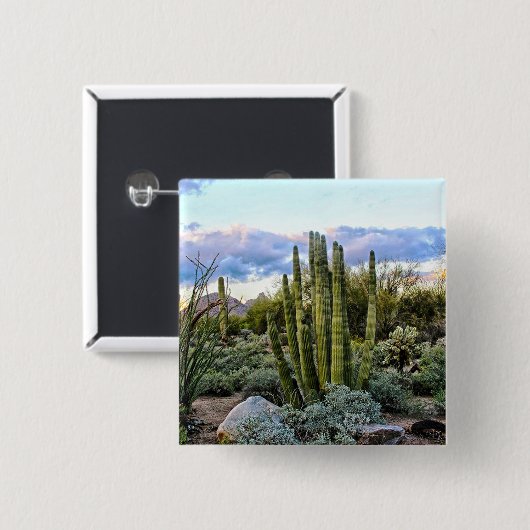 Scottsdale Succulent Sunset Button (Vorne & Hinten)