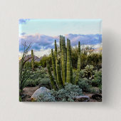 Scottsdale Succulent Sunset Button (Vorderseite)