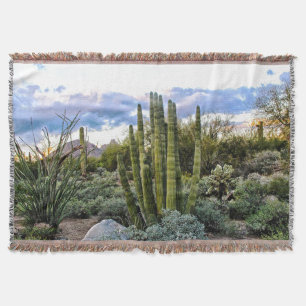 Scottsdale Succulent Sunset Decke