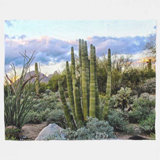 Scottsdale Succulent Sunset Fleecedecke (Vorderseite (Horizontal))