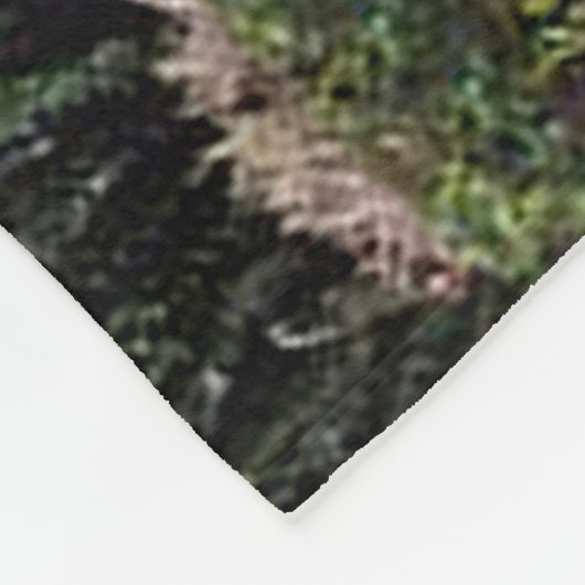 Scottsdale Succulent Sunset Fleecedecke (Ecke)