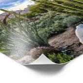 Scottsdale Succulent Sunset Fotodruck (Ecke)