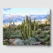 Scottsdale Succulent Sunset Gästebuch (Rückseite)