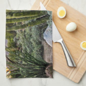 Scottsdale Succulent Sunset Geschirrtuch (Viertel Falte)