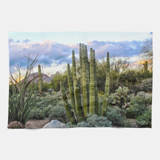 Scottsdale Succulent Sunset Geschirrtuch (Horizontal)