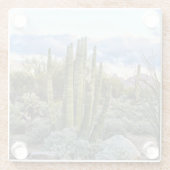 Scottsdale Succulent Sunset Glasuntersetzer (Rückseite)