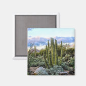 Scottsdale Succulent Sunset (kein Text) Magnet (Vorderseite/Rückseite)