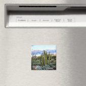 Scottsdale Succulent Sunset (kein Text) Magnet (In Situ (Geschirrspüler))