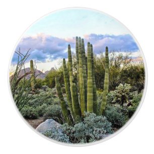 Scottsdale Succulent Sunset Keramikknauf