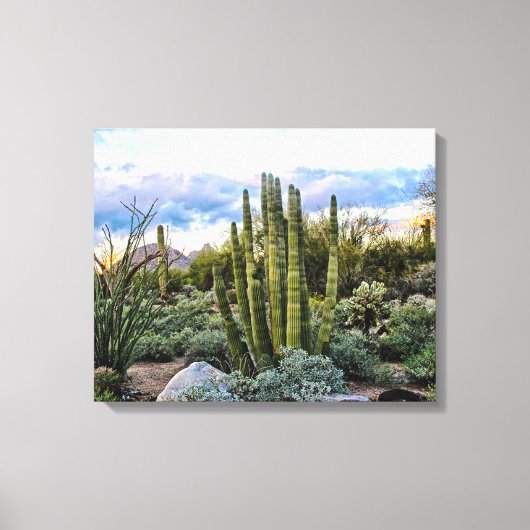 Scottsdale Succulent Sunset Leinwanddruck (Vorderseite)