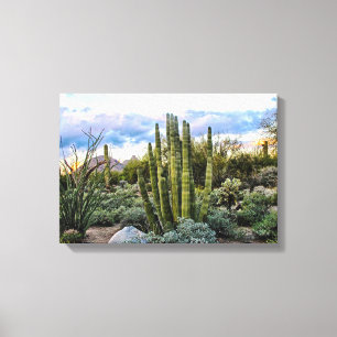 Scottsdale Succulent Sunset Leinwanddruck