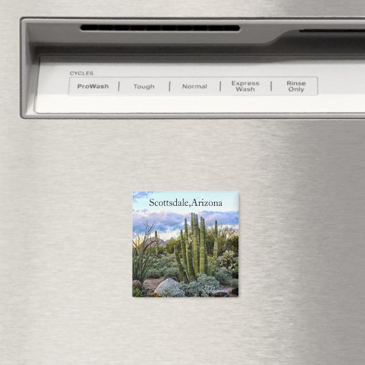 Scottsdale Succulent Sunset Magnet (In Situ (Geschirrspüler))