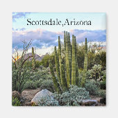 Scottsdale Succulent Sunset Magnet (Vorne)