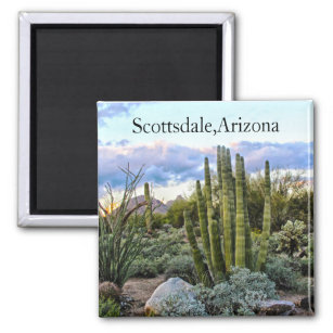 Scottsdale Succulent Sunset Magnet