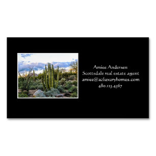 Scottsdale Succulent Sunset Magnetische Visitenkarte