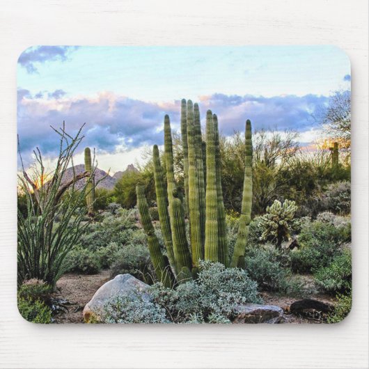 Scottsdale Succulent Sunset Mousepad (Vorne)