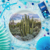 Scottsdale Succulent Sunset Pappteller (Party)