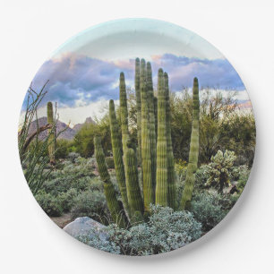 Scottsdale Succulent Sunset Pappteller