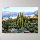 Scottsdale Succulent Sunset Poster (Vorne)