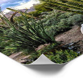 Scottsdale Succulent Sunset Poster (Ecke)