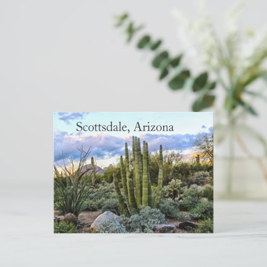 Scottsdale Succulent Sunset Postkarte (Stehend Vorderseite)
