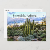 Scottsdale Succulent Sunset Postkarte (Vorne/Hinten)