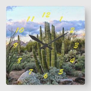 Scottsdale Succulent Sunset Quadratische Wanduhr