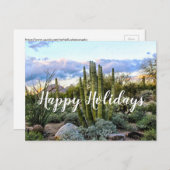 Scottsdale Succulent Sunset, Scottsdale, Arizona Postkarte (Vorne/Hinten)