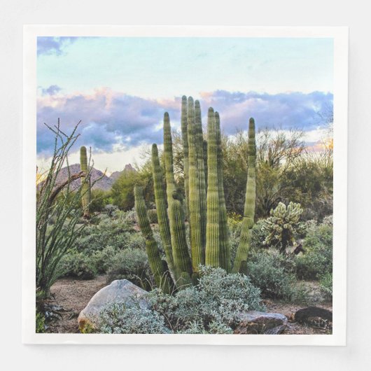 Scottsdale Succulent Sunset Serviette (Vorderseite)