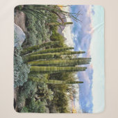 Scottsdale Succulent Sunset Sherpadecke (Vorderseite)