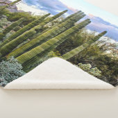 Scottsdale Succulent Sunset Sherpadecke (3/4)