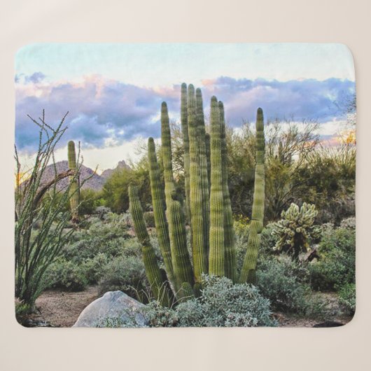 Scottsdale Succulent Sunset Sherpadecke (Vorderseite (Horizontal))