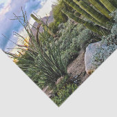 Scottsdalesucculent-Sonnenuntergang Seidenpapier (Ausschnitt)