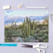 Scottsdalesucculent-Sonnenuntergang Seidenpapier (Handwerk)